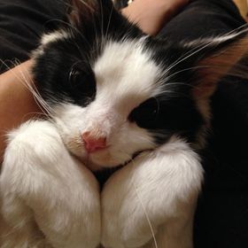 Profile Picture of Shana Mroskey (@mroskey93) on Pinterest