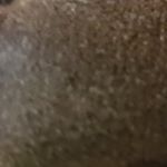 Profile Picture of seemyoldprofile (@mcnealtillman) on Instagram