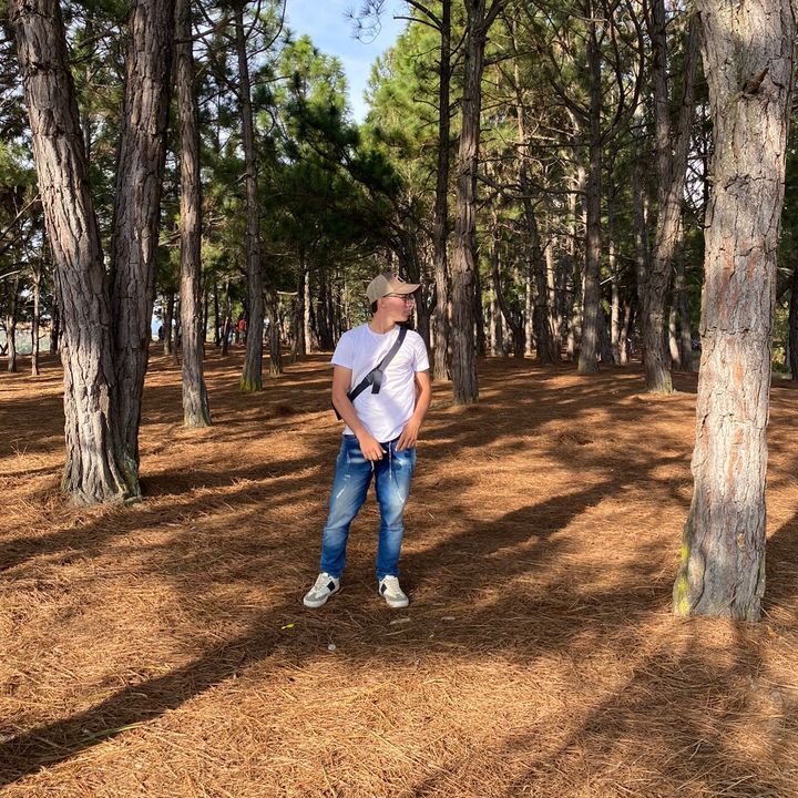 Profile Picture of Alejandro Grimaldo (@alejandrogrimald8) on Tiktok