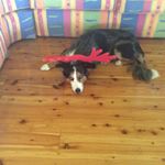 Darren Appleby - Instagram Profile Picture of Darren Appleby (@darren.appleby) on Instagram