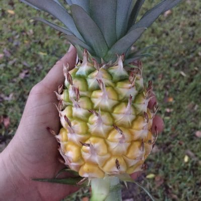 Profile Picture of Jessie Shull (@hangerstruggle) on Twitter