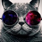 Jillian Marie - Instagram Profile Picture of Jillian Marie (@strawberry_boi_thats_a_girl) on Instagram