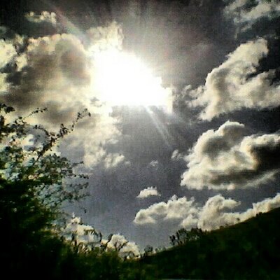 Profile Picture of Sara Drew-batchelor (@SDrew48) on Twitter