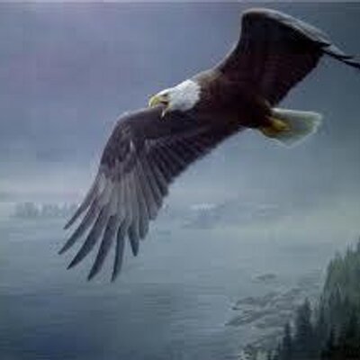 Profile Picture of Calvin Robertson (@CalvinEagle) on Twitter