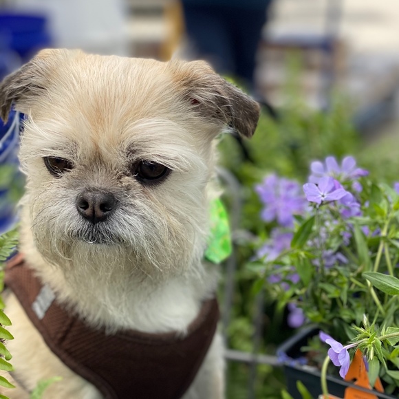 Profile Picture of J Wren (@jwrenbird) on Poshmark