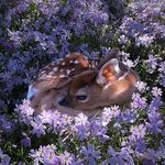 Bianka Skowron - Instagram Profile Picture of Bianka Skowron (@only.bianka) on Instagram