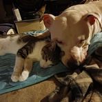 Profile Picture of Jessica McClish (@jessica.mcclish.3) on Facebook