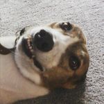 Profile Picture of George Wright (@george._wright) on Instagram