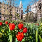 Profile Picture of David Chumil (@ratzan58) on Facebook