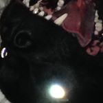 Danny Redmond - Instagram Profile Picture of Danny Redmond (@danny_redmond) on Instagram