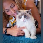 Profile Picture of Seven's Daisy 🌼 (@sevensdaisy) on Instagram