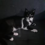 Profile Picture of Alba Maya (@alba.maya.311) on Facebook