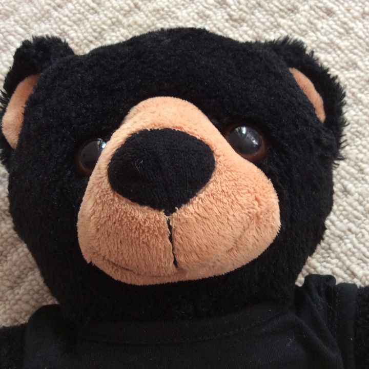 Profile Picture of Ryan Mark (@ryanmark42) on Tiktok