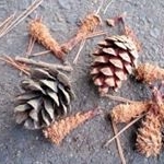 Profile Picture of Nakano Yusuke (@nakano.yusuke.3) on Instagram