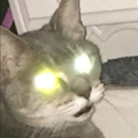 Profile Picture of Katie Krobock (@kxtiekrx) on Poshmark