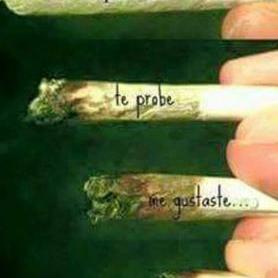 Profile Picture of Carlos Neira (@carlosneira34) on Twitter