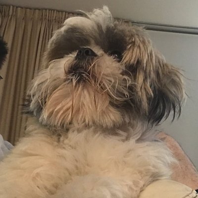 Profile Picture of Joaquin Ramos (@jqnrms) on Twitter