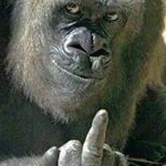 Profile Picture of Patrick Higdon (@manicmechanic64) on Instagram