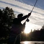 Profile Picture of Steve Spurgeon (@misterspurge) on Instagram