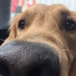 Profile Picture of Paul Piroth (@paul.prth) on Instagram