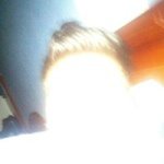 Profile Picture of Paul Capel (@paul_capel) on Instagram