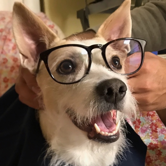 Profile Picture of James Teguí (@jaytegui) on Poshmark