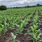 Profile Picture of Hellen Joseph (@Hellen-Joseph) on Facebook