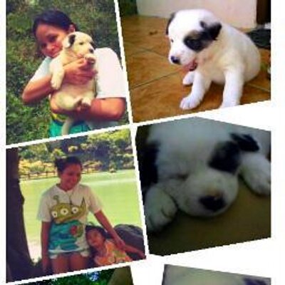 Pamela Hazel Amparo - Twitter Profile Picture of Pamela Hazel Amparo (@Pamela_Hazel26) on Twitter