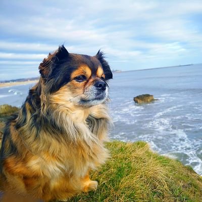 Profile Picture of Lisa A Trainer (@LisaATrainer3) on Twitter
