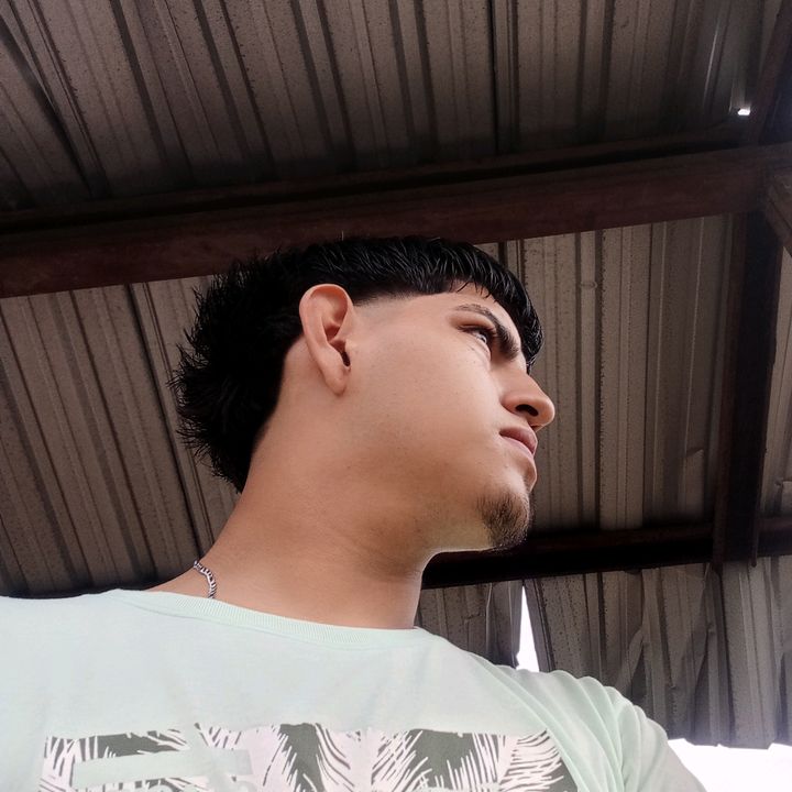 Profile Picture of Alexey Gonzalez (@alexeygonzalez2) on Tiktok