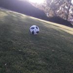 Profile Picture of Martin Bahena (@martin._.bahena) on Instagram