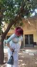 Profile Picture of   Aw ye douawou ké lagaré ni... (@missmah8) on Tiktok