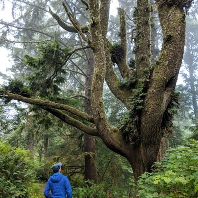 Profile Picture of Daniel Arno (@Danilarno) on Twitter