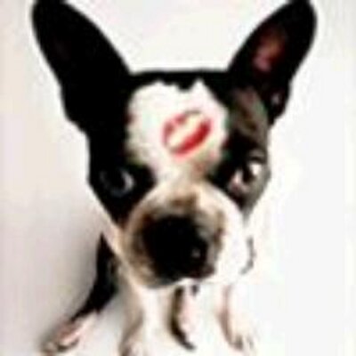 Profile Picture of Joe Luttrell (@JoeLuttrell2) on Twitter
