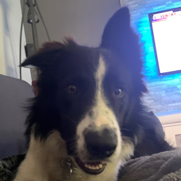 Profile Picture of Madysson Grimard (@madygrim) on Poshmark