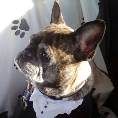 Profile Picture of Darren Prater (@radiodarren) on Twitter