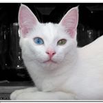 Profile Picture of stella baldwin (@baldwin0052wx) on Instagram