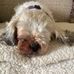 Profile Picture of Beverly Iles (@beverly.iles.7) on Facebook