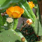 Profile Picture of Maria Del Carmen Agrati (@Maria-Del-Carmen-Agrati) on Facebook