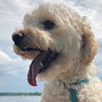 Profile Picture of Dani Rosa (@dani-rosa-4) on Quora
