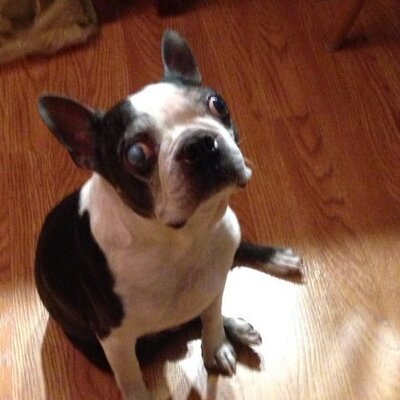 Profile Picture of Dave Shappell (@DaveShappell) on Twitter