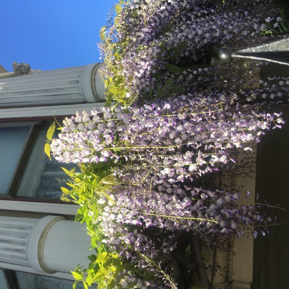 Profile Picture of Roxanne Webber (@donutsmmm) on Poshmark