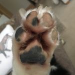 Vikki Cooper - Instagram Profile Picture of Vikki Cooper (@vikwhite77) on Instagram