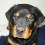 Profile Picture of Lucas david Redigonda (@lucasdavidredigonda) on Instagram