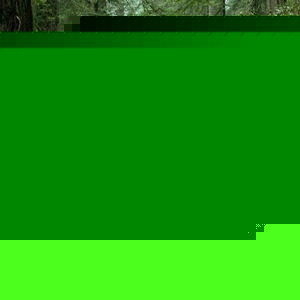 Profile Picture of Kevin Muschette (@135396976) on Myspace