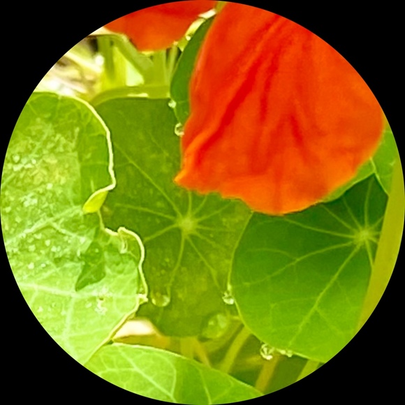 Profile Picture of M rebecca Karlowicz (@mrbk_atl) on Poshmark