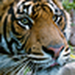 Profile Picture of Peter Holmes (@nomad_pete) on Flickr