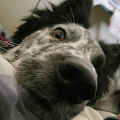 Profile Picture of Kim Eskew (@kimeskew6039) on Youtube