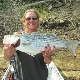 Cynthia Tilley - Twitter Profile Picture of Cynthia Tilley (@TilleyCynthia) on Twitter