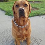 Profile Picture of Jim Gilmer (@jim.gilmer.9) on Instagram